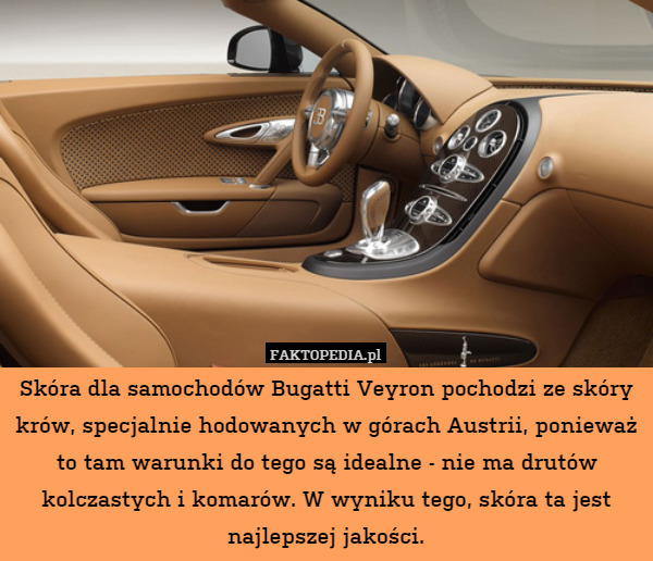 Skóra dla samochodów Bugatti Veyron pochodzi ze skóry krów, specjalnie hodowanych w górach Austrii, ponieważ to tam warunki do tego są idealne - nie ma drutów kolczastych i komarów. W wyniku tego, skóra ta jest najlepszej jakości. 