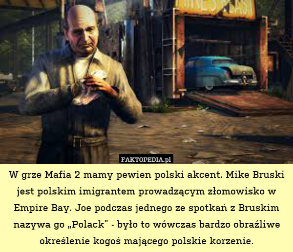 W grze Mafia 2 mamy pewien polski akcent. Mike Bruski jest polskim imigrantem prowadzącym złomowisko w Empire Bay. Joe podczas jednego ze spotkań z Bruskim nazywa go „Polack” - było to wówczas bardzo obraźliwe określenie kogoś mającego polskie korzenie. 