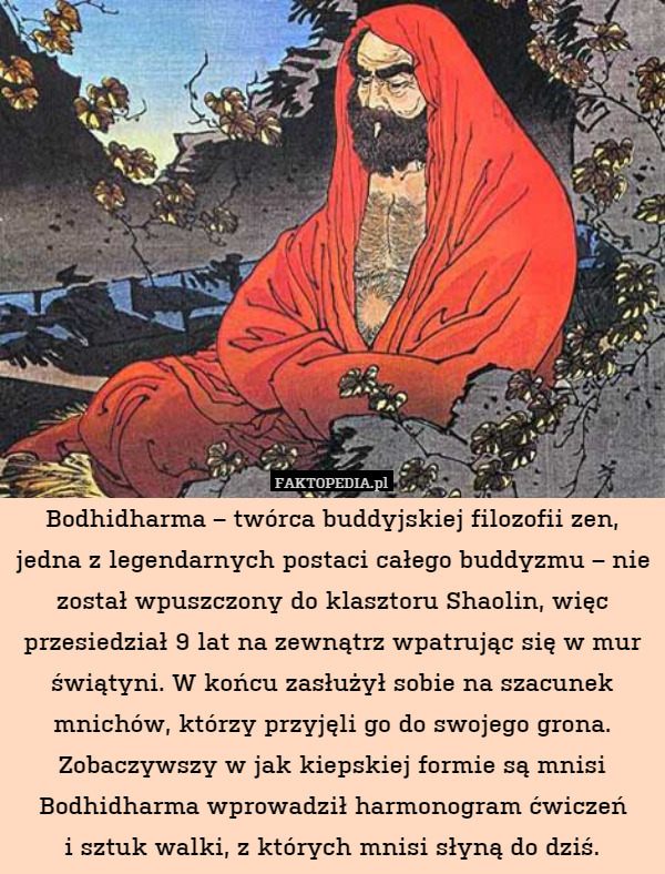 Bodhidharma – twórca buddyjskiej filozofii zen, jedna z legendarnych postaci całego buddyzmu – nie został wpuszczony do klasztoru Shaolin, więc przesiedział 9 lat na zewnątrz wpatrując się w mur świątyni. W końcu zasłużył sobie na szacunek mnichów, którzy przyjęli go do swojego grona. Zobaczywszy w jak kiepskiej formie są mnisi Bodhidharma wprowadził harmonogram ćwiczeń
i sztuk walki, z których mnisi słyną do dziś. 