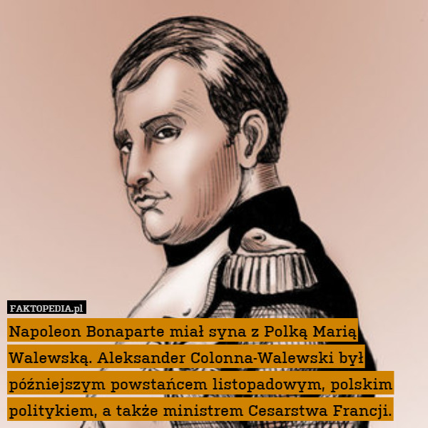 Napoleon Bonaparte miał syna z Polką Marią Walewską. Aleksander Colonna-Walewski był późniejszym powstańcem listopadowym, polskim politykiem, a także ministrem Cesarstwa Francji. 