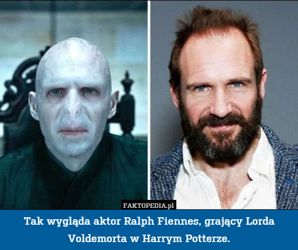 Tak wygląda aktor Ralph Fiennes, grający Lorda Voldemorta w Harrym Potterze. 