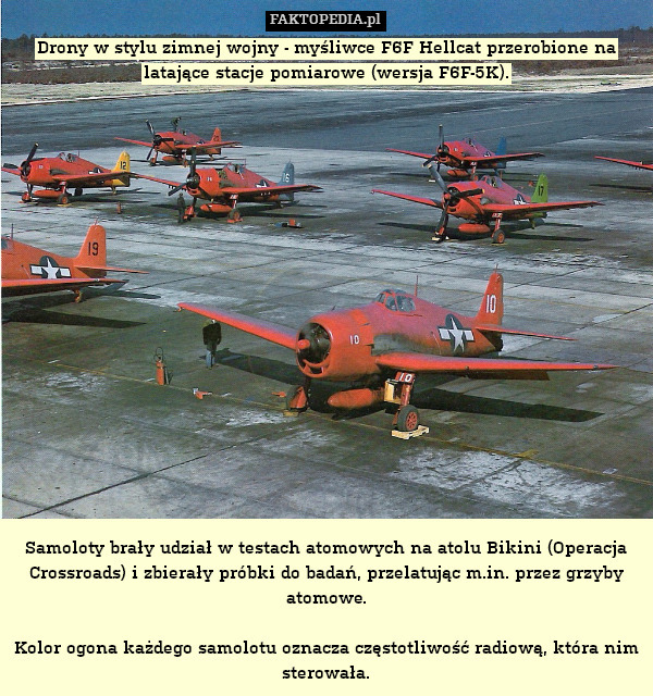Drony w stylu zimnej wojny - myśliwce F6F Hellcat przerobione na latające stacje pomiarowe (wersja F6F-5K).


















Samoloty brały udział w testach atomowych na atolu Bikini (Operacja Crossroads) i zbierały próbki do badań, przelatując m.in. przez grzyby atomowe.

Kolor ogona każdego samolotu oznacza częstotliwość radiową, która nim sterowała. 