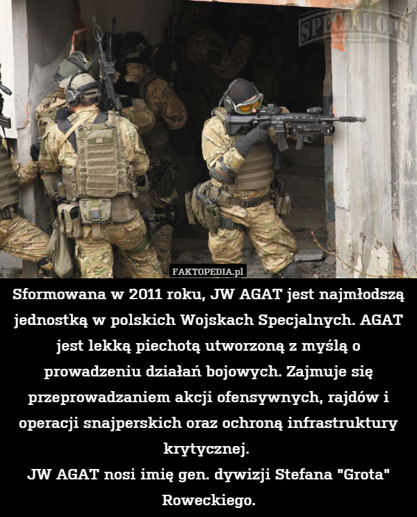 Sformowana w 2011 roku, JW AGAT jest najmłodszą jednostką w polskich Wojskach Specjalnych. AGAT jest lekką piechotą utworzoną z myślą o prowadzeniu działań bojowych. Zajmuje się przeprowadzaniem akcji ofensywnych, rajdów i operacji snajperskich oraz ochroną infrastruktury krytycznej. 
JW AGAT nosi imię gen. dywizji Stefana "Grota" Roweckiego. 