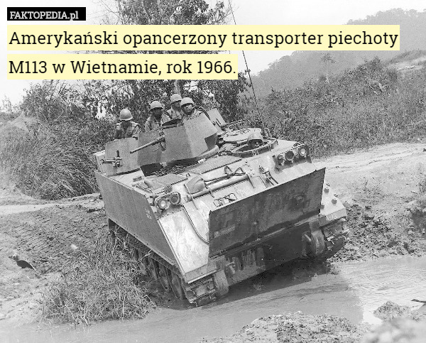 Amerykański opancerzony transporter piechoty M113 w Wietnamie, rok 1966. 