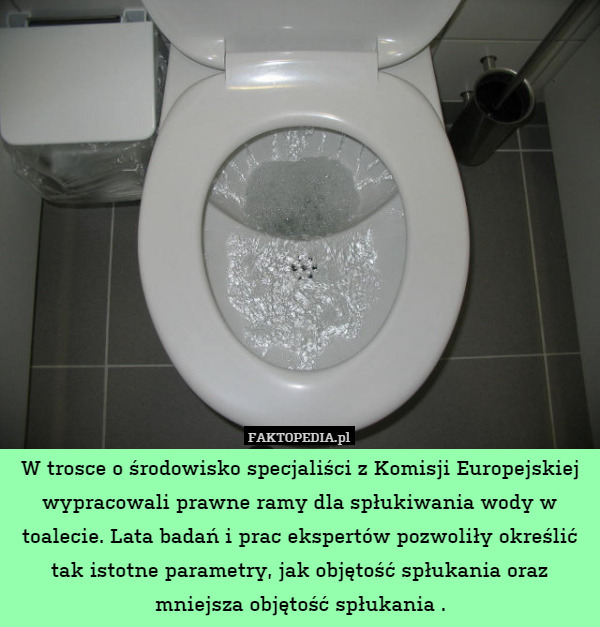 W trosce o środowisko specjaliści z Komisji Europejskiej wypracowali prawne ramy dla spłukiwania wody w toalecie. Lata badań i prac ekspertów pozwoliły określić tak istotne parametry, jak objętość spłukania oraz mniejsza objętość spłukania . 