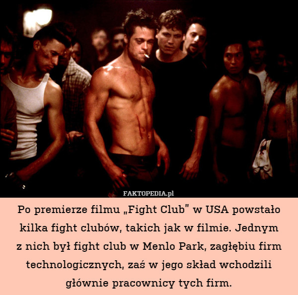 Po premierze filmu „Fight Club” w USA powstało kilka fight clubów, takich jak w filmie. Jednym
z nich był fight club w Menlo Park, zagłębiu firm technologicznych, zaś w jego skład wchodzili głównie pracownicy tych firm. 