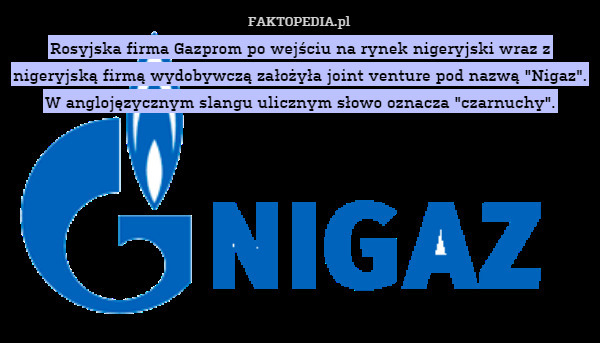 Rosyjska firma Gazprom po wejściu na rynek nigeryjski wraz z nigeryjską firmą wydobywczą założyła joint venture pod nazwą "Nigaz".
W anglojęzycznym slangu ulicznym słowo oznacza "czarnuchy". 