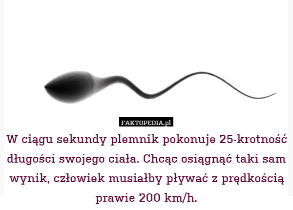 W ciągu sekundy plemnik pokonuje 25-krotność długości swojego ciała. Chcąc osiągnąć taki sam wynik, człowiek musiałby pływać z prędkością prawie 200 km/h. 