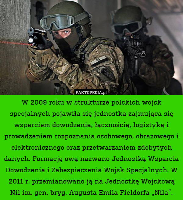 W 2009 roku w strukturze polskich wojsk specjalnych pojawiła się jednostka zajmująca się wsparciem dowodzenia, łącznością, logistyką i prowadzeniem rozpoznania osobowego, obrazowego i elektronicznego oraz przetwarzaniem zdobytych danych. Formację ową nazwano Jednostką Wsparcia Dowodzenia i Zabezpieczenia Wojsk Specjalnych. W 2011 r. przemianowano ją na Jednostkę Wojskową Nil im. gen. bryg. Augusta Emila Fieldorfa „Nila”. 