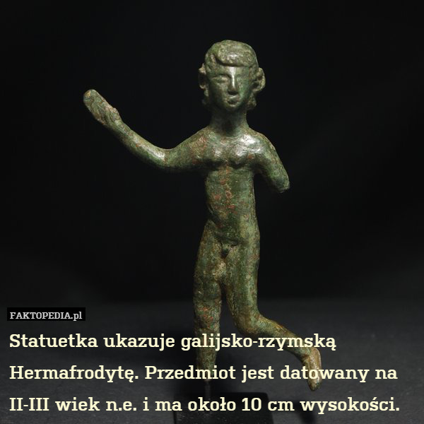 Statuetka ukazuje galijsko-rzymską Hermafrodytę. Przedmiot jest datowany na II-III wiek n.e. i ma około 10 cm wysokości. 