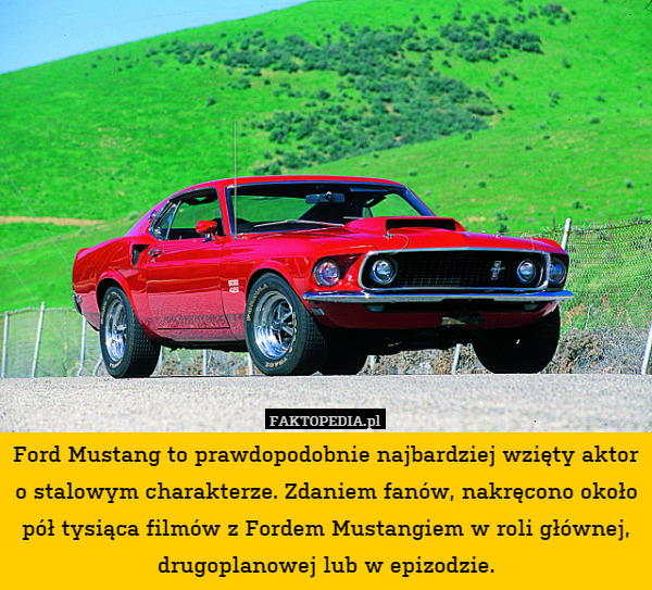 Ford Mustang to prawdopodobnie najbardziej wzięty aktor o stalowym charakterze. Zdaniem fanów, nakręcono około pół tysiąca filmów z Fordem Mustangiem w roli głównej, drugoplanowej lub w epizodzie. 