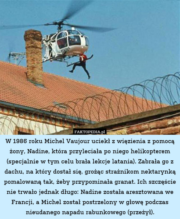 W 1986 roku Michel Vaujour uciekł z więzienia z pomocą żony, Nadine, która przyleciała po niego helikopterem (specjalnie w tym celu brała lekcje latania). Zabrała go z dachu, na który dostał się, grożąc strażnikom nektarynką pomalowaną tak, żeby przypominała granat. Ich szczęście nie trwało jednak długo: Nadine została aresztowana we Francji, a Michel został postrzelony w głowę podczas nieudanego napadu rabunkowego (przeżył). 