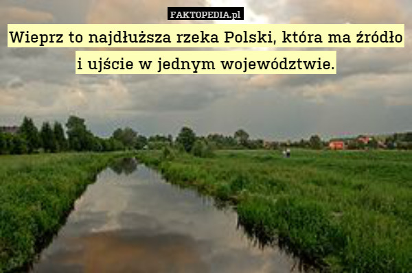 Wieprz to najdłuższa rzeka Polski, która ma źródło i ujście w jednym województwie. 