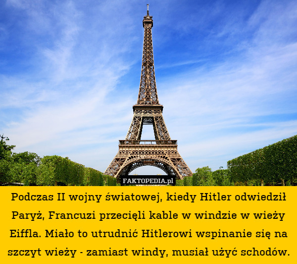 Podczas II wojny światowej, kiedy Hitler odwiedził Paryż, Francuzi przecięli kable w windzie w wieży Eiffla. Miało to utrudnić Hitlerowi wspinanie się na szczyt wieży - zamiast windy, musiał użyć schodów. 