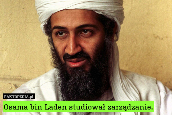 Osama bin Laden studiował zarządzanie. 