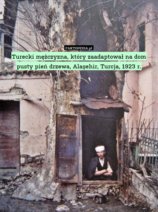 Turecki mężczyzna, który zaadaptował na dom pusty pień drzewa, Alaşehir, Turcja, 1923 r. 