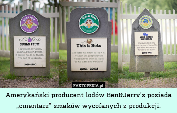 Amerykański producent lodów Ben&Jerry’s posiada „cmentarz” smaków wycofanych z produkcji. 