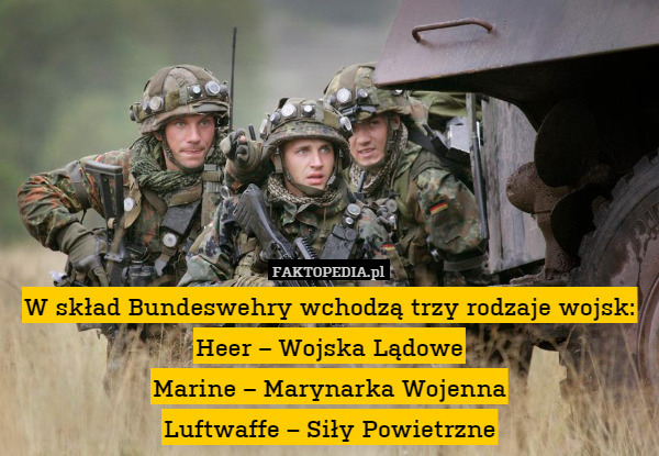 W skład Bundeswehry wchodzą trzy rodzaje wojsk:
Heer – Wojska Lądowe
Marine – Marynarka Wojenna
Luftwaffe – Siły Powietrzne 