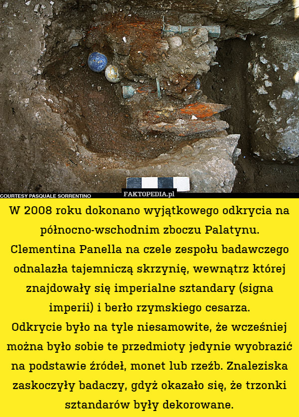 W 2008 roku dokonano wyjątkowego odkrycia na północno-wschodnim zboczu Palatynu. Clementina Panella na czele zespołu badawczego odnalazła tajemniczą skrzynię, wewnątrz której znajdowały się imperialne sztandary (signa imperii) i berło rzymskiego cesarza.
Odkrycie było na tyle niesamowite, że wcześniej można było sobie te przedmioty jedynie wyobrazić na podstawie źródeł, monet lub rzeźb. Znaleziska zaskoczyły badaczy, gdyż okazało się, że trzonki sztandarów były dekorowane. 