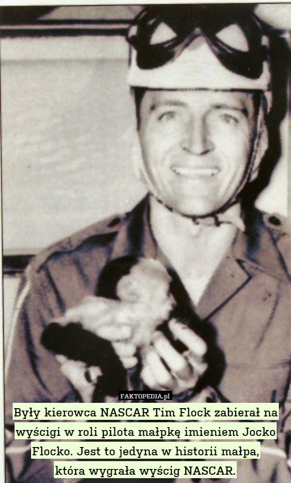 Były kierowca NASCAR Tim Flock zabierał na wyścigi w roli pilota małpkę imieniem Jocko Flocko. Jest to jedyna w historii małpa,
która wygrała wyścig NASCAR. 