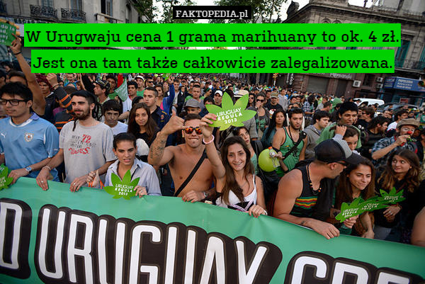 W Urugwaju cena 1 grama marihuany to ok. 4 zł.
Jest ona tam także całkowicie zalegalizowana. 