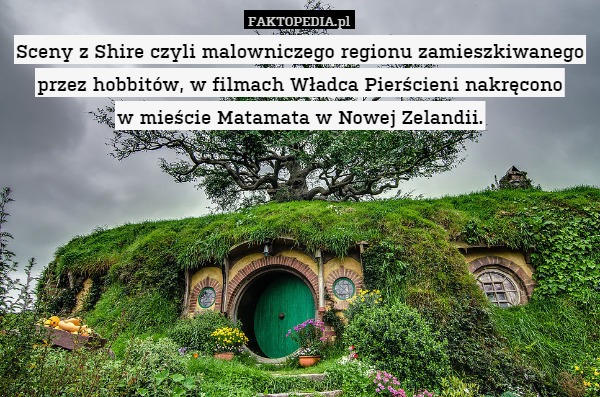 Sceny z Shire czyli malowniczego regionu zamieszkiwanego przez hobbitów, w filmach Władca Pierścieni nakręcono
w mieście Matamata w Nowej Zelandii. 