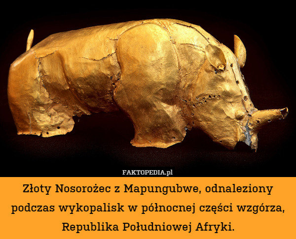 Złoty Nosorożec z Mapungubwe, odnaleziony podczas wykopalisk w północnej części wzgórza, Republika Południowej Afryki. 