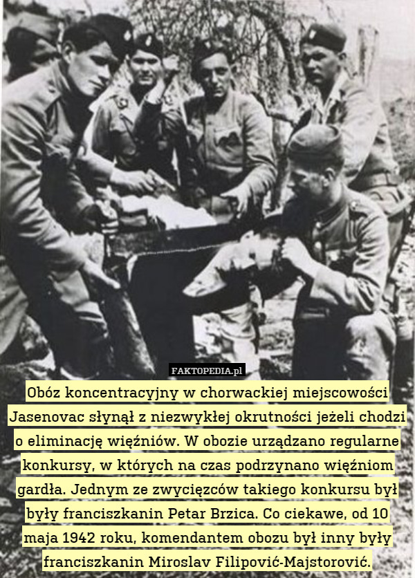 Obóz koncentracyjny w chorwackiej miejscowości Jasenovac słynął z niezwykłej okrutności jeżeli chodzi o eliminację więźniów. W obozie urządzano regularne konkursy, w których na czas podrzynano więźniom gardła. Jednym ze zwycięzców takiego konkursu był były franciszkanin Petar Brzica. Co ciekawe, od 10 maja 1942 roku, komendantem obozu był inny były franciszkanin Miroslav Filipović-Majstorović. 