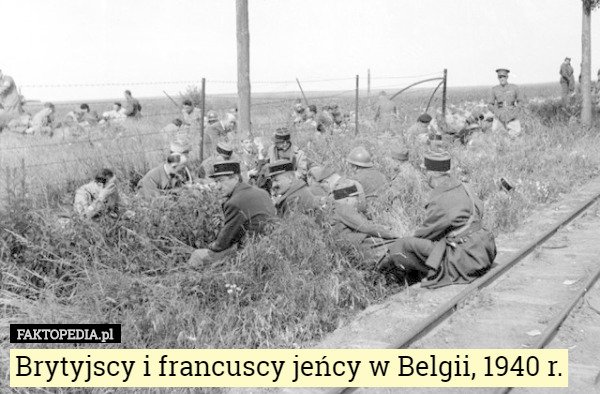 Brytyjscy i francuscy jeńcy w Belgii, 1940 r. 