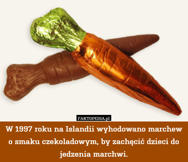 W 1997 roku na Islandii wyhodowano marchew o smaku czekoladowym, by zachęcić dzieci do jedzenia marchwi. 