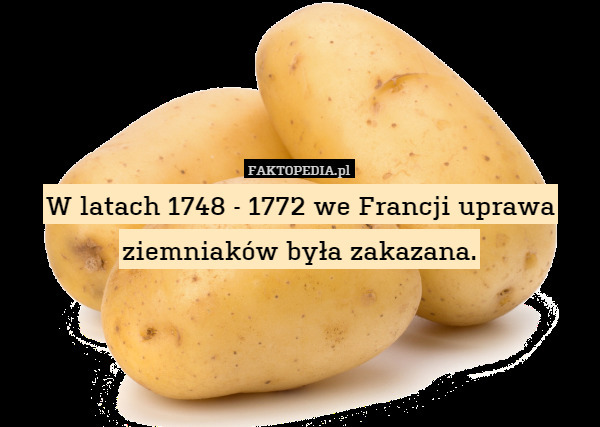W latach 1748 - 1772 we Francji uprawa ziemniaków była zakazana. 