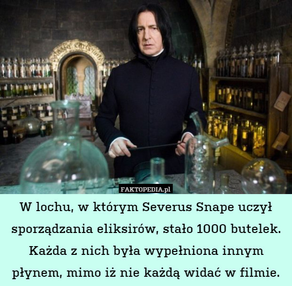 W lochu, w którym Severus Snape uczył sporządzania eliksirów, stało 1000 butelek. Każda z nich była wypełniona innym płynem, mimo iż nie każdą widać w filmie. 