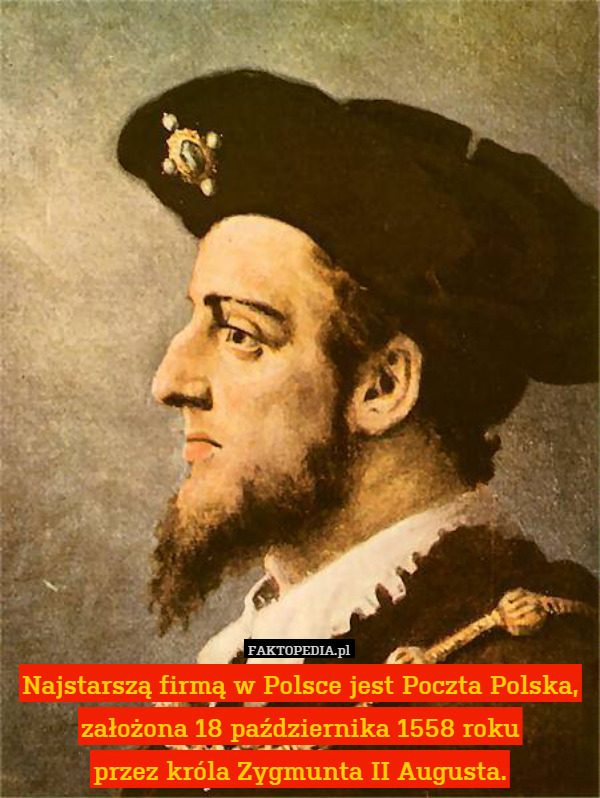 Najstarszą firmą w Polsce jest Poczta Polska, założona 18 października 1558 roku
przez króla Zygmunta II Augusta. 