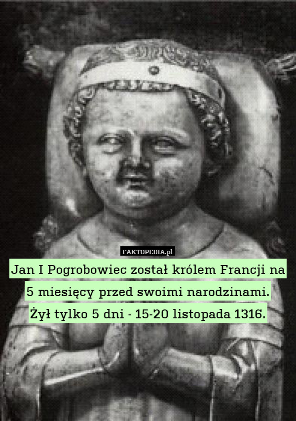 Jan I Pogrobowiec został królem Francji na 5 miesięcy przed swoimi narodzinami.
Żył tylko 5 dni - 15-20 listopada 1316. 