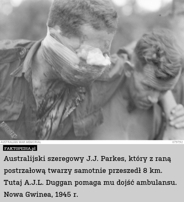 Australijski szeregowy J.J. Parkes, który z raną postrzałową twarzy samotnie przeszedł 8 km. Tutaj A.J.L. Duggan pomaga mu dojść ambulansu.
Nowa Gwinea, 1945 r. 