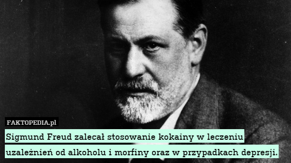 Sigmund Freud zalecał stosowanie kokainy w leczeniu uzależnień od alkoholu i morfiny oraz w przypadkach depresji. 