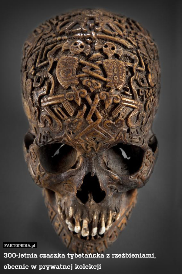 300-letnia czaszka tybetańska z rzeźbieniami, obecnie w prywatnej kolekcji 