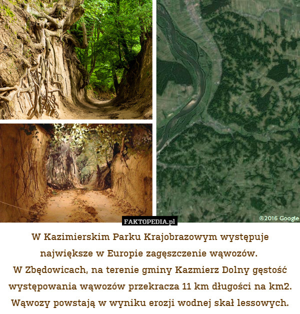 W Kazimierskim Parku Krajobrazowym występuje największe w Europie zagęszczenie wąwozów. 
W Zbędowicach, na terenie gminy Kazmierz Dolny gęstość występowania wąwozów przekracza 11 km długości na km2. Wąwozy powstają w wyniku erozji wodnej skał lessowych. 