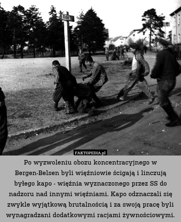 Po wyzwoleniu obozu koncentracyjnego w Bergen-Belsen byli więźniowie ścigają i linczują byłego kapo - więźnia wyznaczonego przez SS do nadzoru nad innymi więźniami. Kapo odznaczali się zwykle wyjątkową brutalnością i za swoją pracę byli wynagradzani dodatkowymi racjami żywnościowymi. 