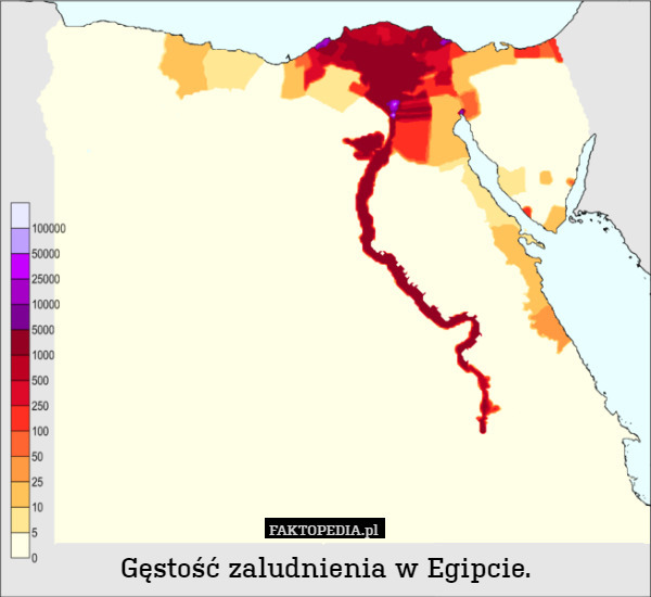 Gęstość zaludnienia w Egipcie. 