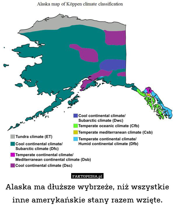 Alaska ma dłuższe wybrzeże, niż wszystkie inne amerykańskie stany razem wzięte. 