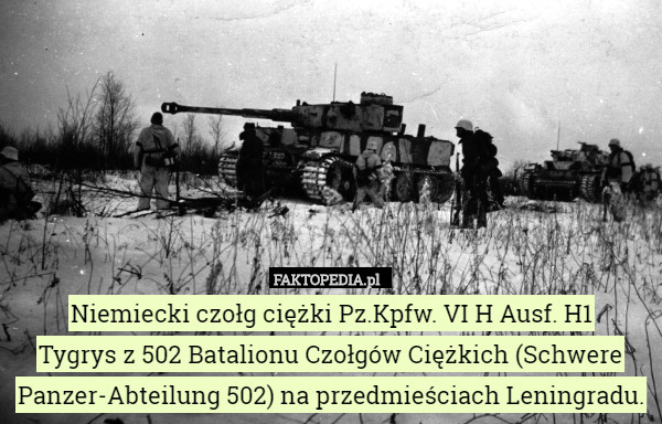 Niemiecki czołg ciężki Pz.Kpfw. VI H Ausf. H1
 Tygrys z 502 Batalionu Czołgów Ciężkich (Schwere Panzer-Abteilung 502) na przedmieściach Leningradu. 