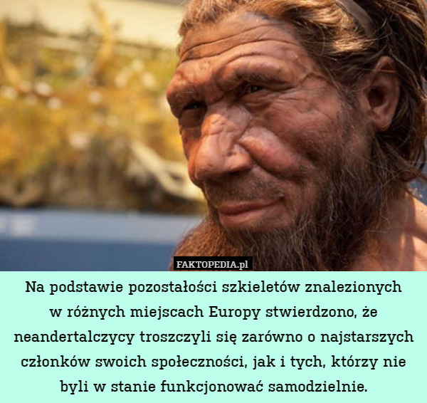 Na podstawie pozostałości szkieletów znalezionych
w różnych miejscach Europy stwierdzono, że neandertalczycy troszczyli się zarówno o najstarszych członków swoich społeczności, jak i tych, którzy nie byli w stanie funkcjonować samodzielnie. 