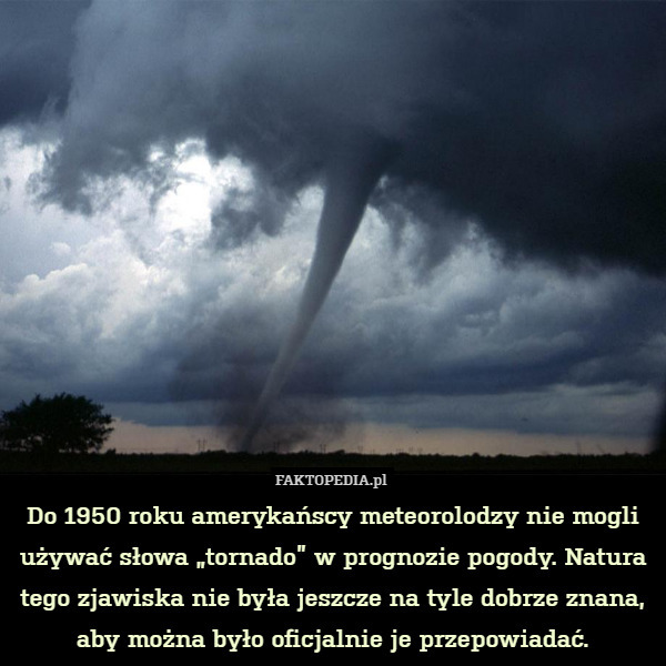 Do 1950 roku amerykańscy meteorolodzy nie mogli używać słowa „tornado” w prognozie pogody. Natura tego zjawiska nie była jeszcze na tyle dobrze znana, aby można było oficjalnie je przepowiadać. 