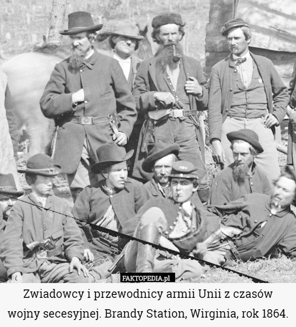 Zwiadowcy i przewodnicy armii Unii z czasów wojny secesyjnej. Brandy Station, Wirginia, rok 1864. 
