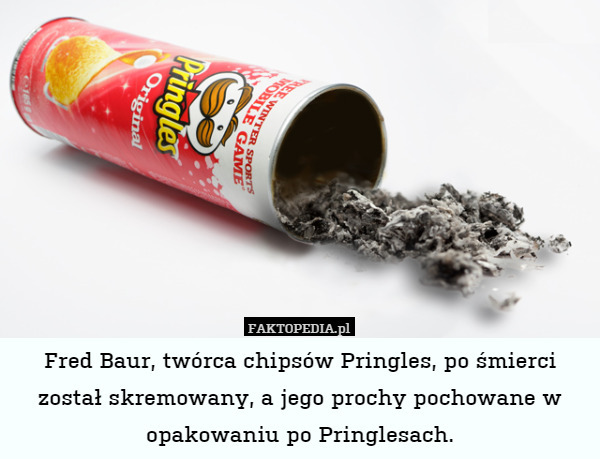 Fred Baur, twórca chipsów Pringles, po śmierci został skremowany, a jego prochy pochowane w opakowaniu po Pringlesach. 