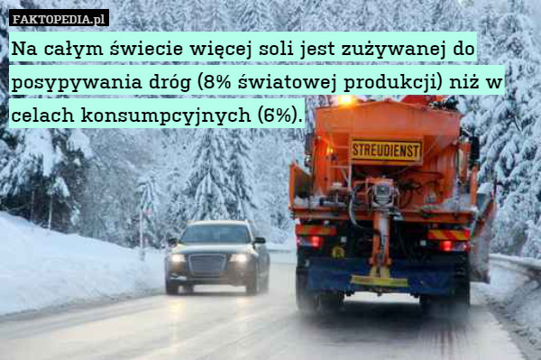 Na całym świecie więcej soli jest zużywanej do posypywania dróg (8% światowej produkcji) niż w celach konsumpcyjnych (6%). 