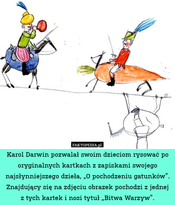 Karol Darwin pozwalał swoim dzieciom rysować po oryginalnych kartkach z zapiskami swojego najsłynniejszego dzieła, „O pochodzeniu gatunków”. Znajdujący się na zdjęciu obrazek pochodzi z jednej
z tych kartek i nosi tytuł „Bitwa Warzyw”. 