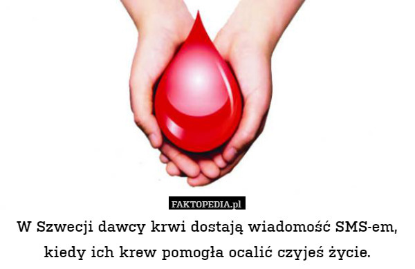 W Szwecji dawcy krwi dostają wiadomość SMS-em, kiedy ich krew pomogła ocalić czyjeś życie. 
