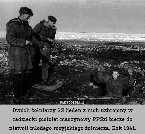 Dwóch żołnierzy SS (jeden z nich uzbrojony w radziecki pistolet maszynowy PPSz) bierze do niewoli młodego rosyjskiego żołnierza. Rok 1941. 